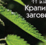 Крапивное заговенье - Газета Ясногорье